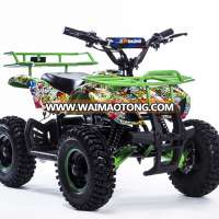 Kids Electric ATV Mini ATV 1000W